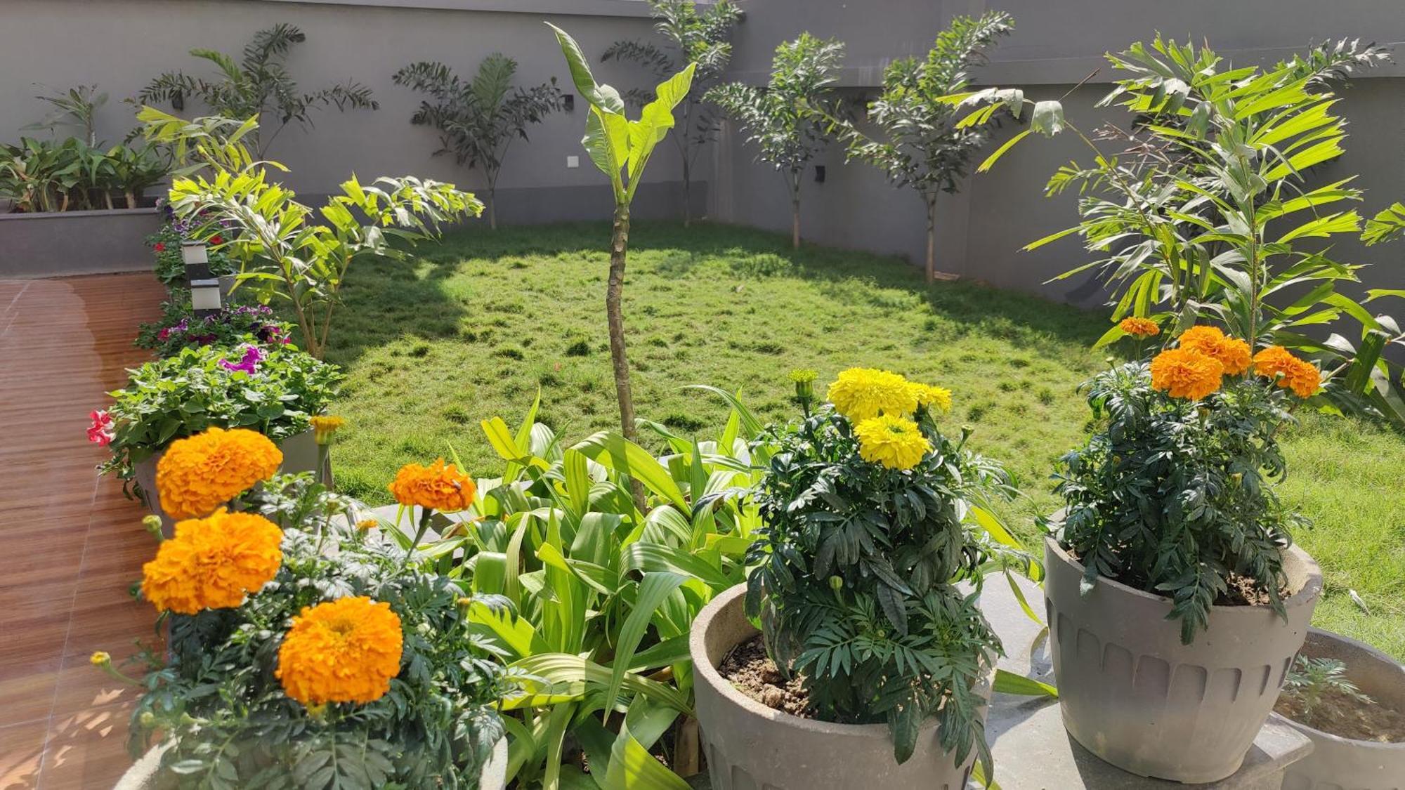 Hotel Ridley International Digha  Extérieur photo